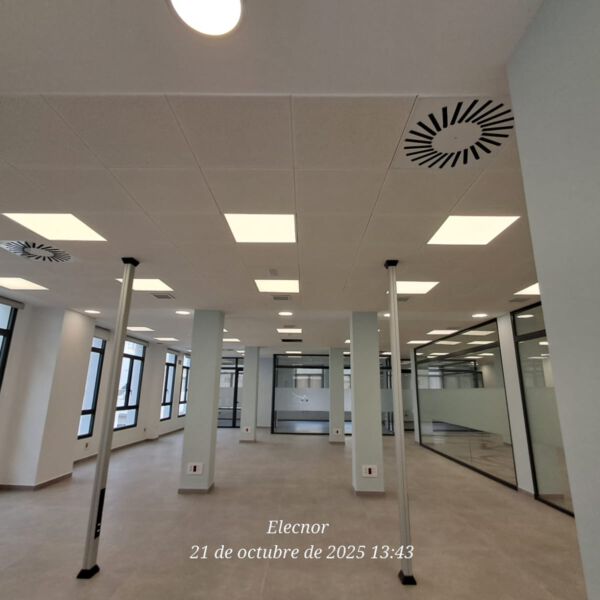 Oficina SAE Barbate - Imagen 2