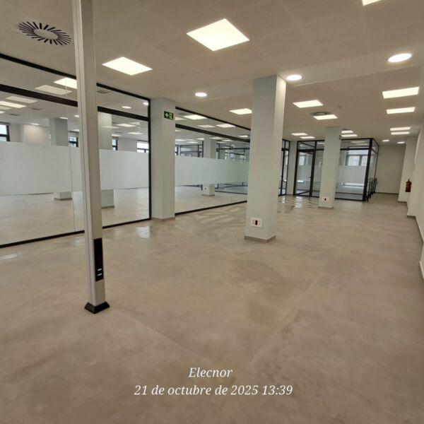 Oficina SAE Barbate - Imagen 3